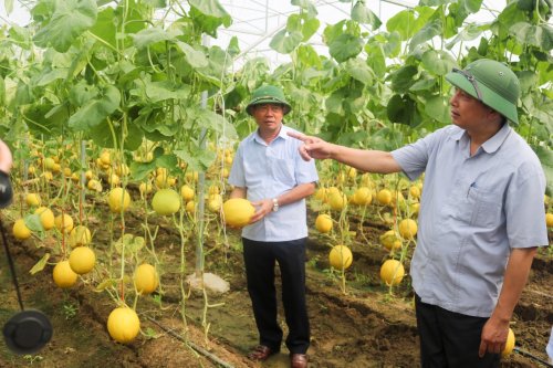 5.1 Một số hình ảnh Hoằng Hoá trong thời kỳ đổi mới.jpg