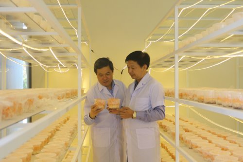 5.4 Một số hình ảnh Hoằng Hoá trong thời kỳ đổi mới.jpg