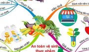 xã Hoằng Xuân tuyên truyền cho nhân dân thực hiện tốt công tác vệ sinh an toàn thực phẩm 