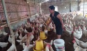 HỘI PHỤ NỮ HOẰNG HÓA VỚI PHONG TRÀO PHÁT TRIỂN KINH TẾ NÂNG CAO CHẤT LƯỢNG CUỘC SỐNG HỘI VIÊN