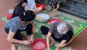 PHỤ NỮ HOẰNG HÓA TIẾP TỤC HƯỚNG VỀ THÀNH PHỐ MANG TÊN BÁC BẰNG NHỮNG VIỆC LÀM THIẾT THỰC