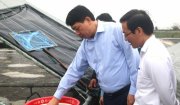 PHÓ CHỦ TỊCH UBND TỈNH LÊ ĐỨC GIANG THĂM MỘT SỐ MÔ HÌNH SẢN XUẤT NÔNG NGHIỆP HIỆU QUẢ TẠI HOẰNG HÓA