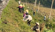 xã Hoằng Xuân duy trìi công tác Bảo vệ môi trường 