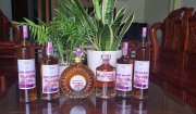 Rượu sim rừng - sản phẩm OCOP xã Hoằng Xuân sẵn sàng phục vụ thị trường tết Nguyên đán