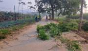 Nhân dân và cán bộ xã Hoằng Xuân tổng dọn vệ sinh môi trường tại đền Quốc Mẫu (Phủ Sở)