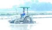 Hoằng Xuân: Gieo trồng 390,5 ha cây trồng vụ chiêm xuân năm 2025