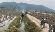 Hội nông dân xã Hoằng Xuân: Người bạn đồng hành của nông dân trong sản xuất nông nghiệp