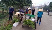 Thôn Hữu Khánh: Chăm sóc đường hoa mùa xuân